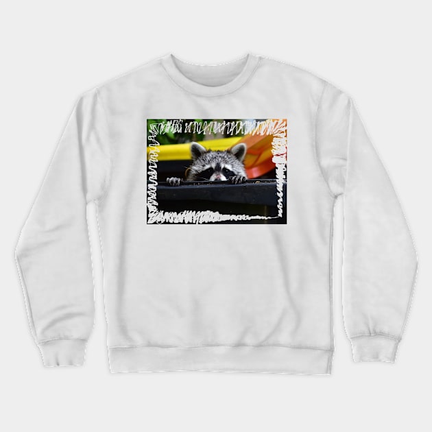 Raccoon Crewneck Sweatshirt by DeVerviers